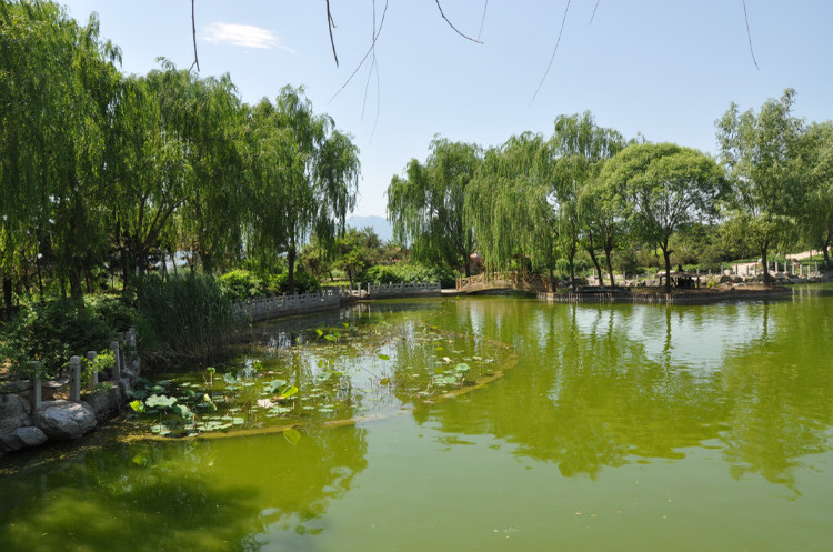 善唯传统：墓地可以转介绍吗？如何给亲友介绍墓地？
